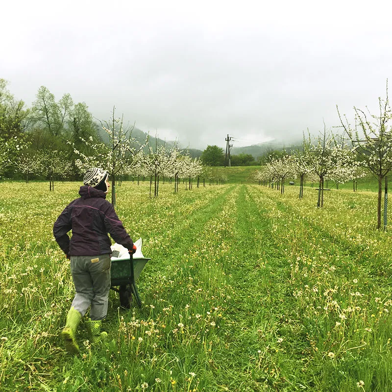 farming
